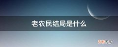 老农民结局是什么?