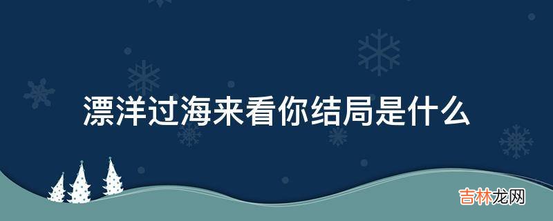 漂洋过海来看你结局是什么?