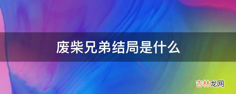 废柴兄弟结局是什么?