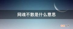 网魂不散是什么意思?