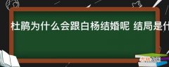 杜鹃为什么会跟白杨结婚呢结局是什么?