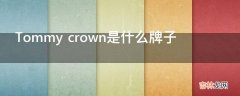 Tommy crown是什么牌子?