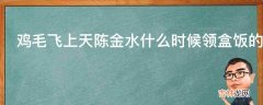 鸡毛飞上天陈金水什么时候领盒饭的?