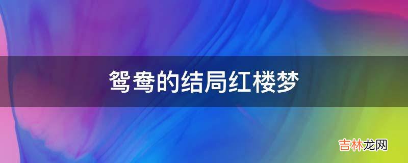 鸳鸯的结局红楼梦?