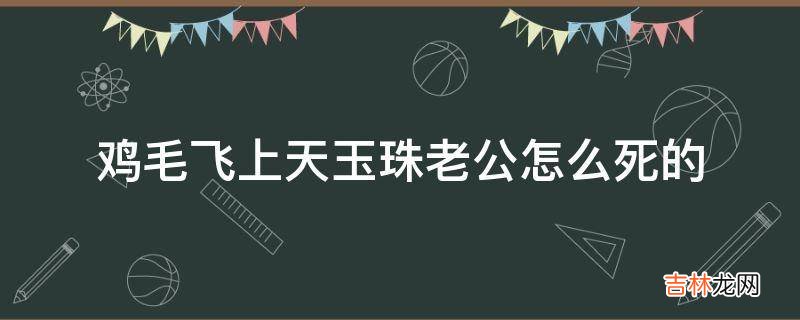鸡毛飞上天玉珠老公怎么死的?