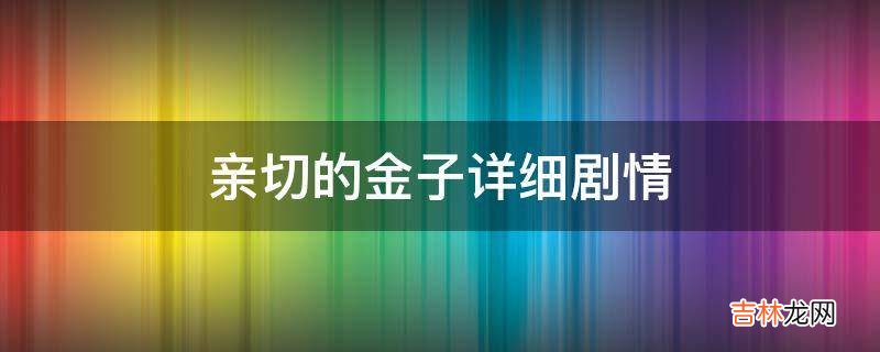 亲切的金子详细剧情?