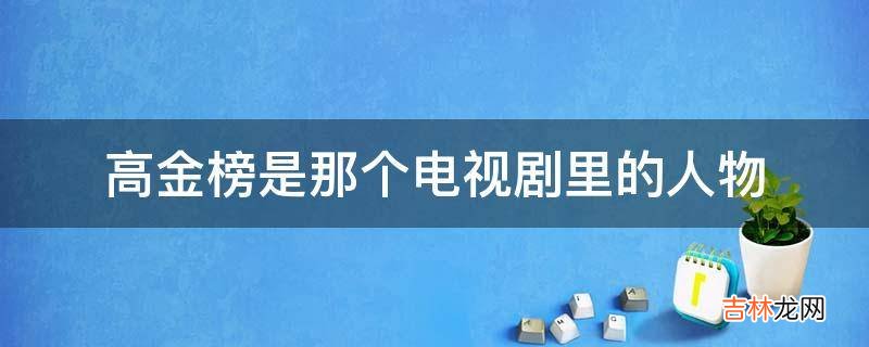 高金榜是那个电视剧里的人物?