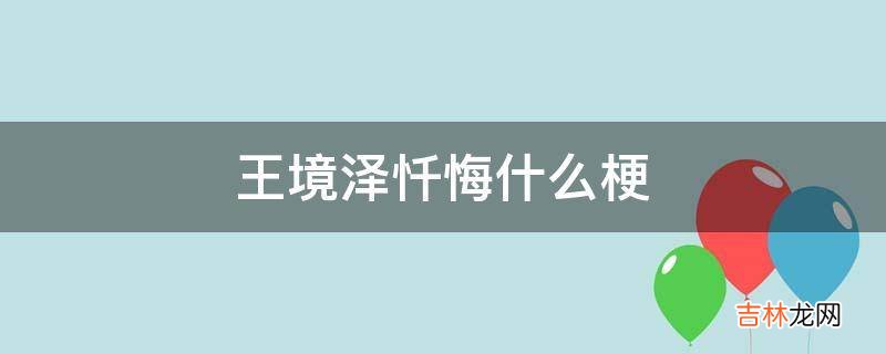 王境泽忏悔什么梗?