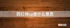 西红柿cp是什么意思?