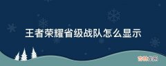 王者荣耀省级战队怎么显示?