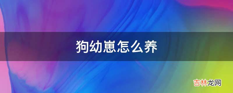 狗幼崽怎么养?