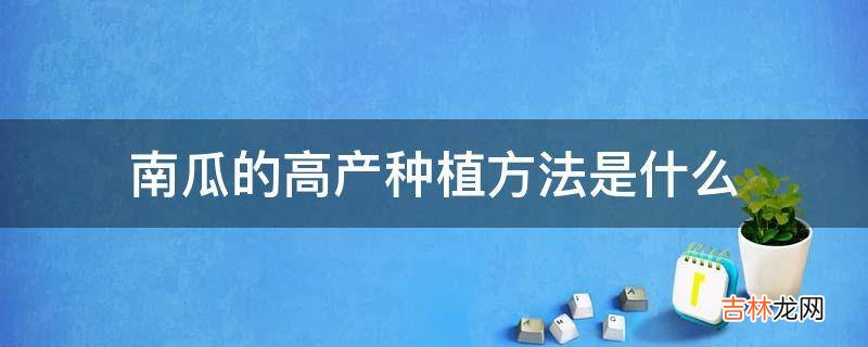 南瓜的高产种植方法是什么?