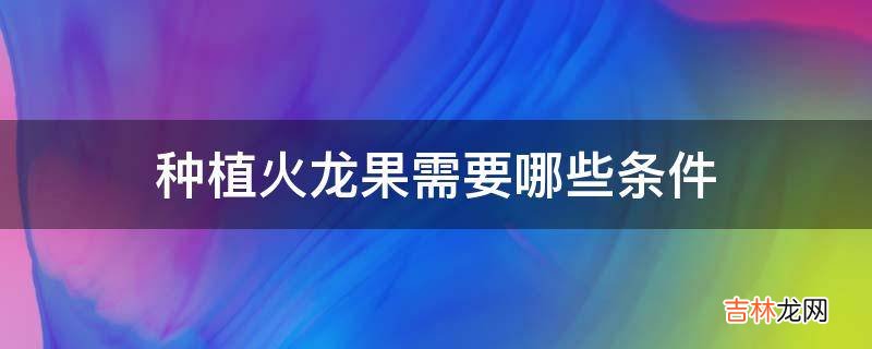 种植火龙果需要哪些条件?