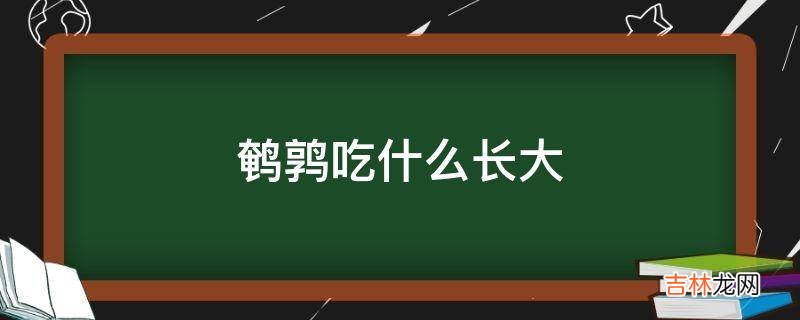 鹌鹑吃什么长大?