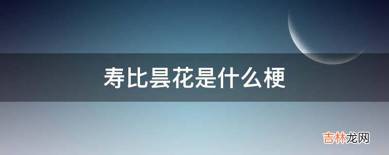 寿比昙花是什么梗?