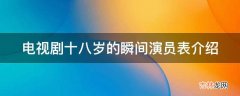 电视剧十八岁的瞬间演员表介绍?