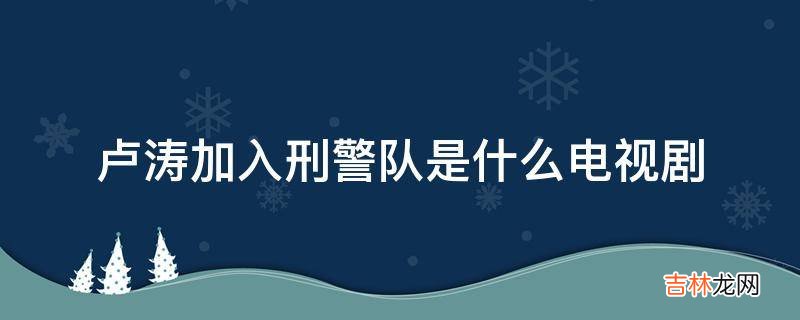 卢涛加入刑警队是什么电视剧?