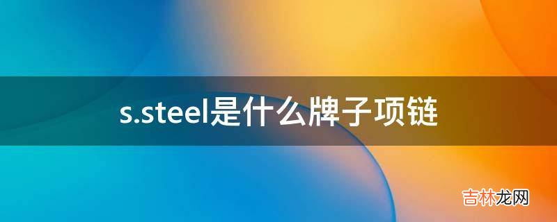 s.steel是什么牌子项链?