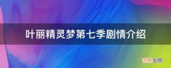 叶丽精灵梦第七季剧情介绍?