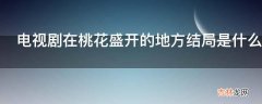 电视剧在桃花盛开的地方结局是什么?