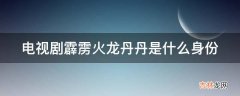 电视剧霹雳火龙丹丹是什么身份?