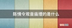 陈情令观音庙埋的是什么?