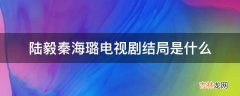 陆毅秦海璐电视剧结局是什么?