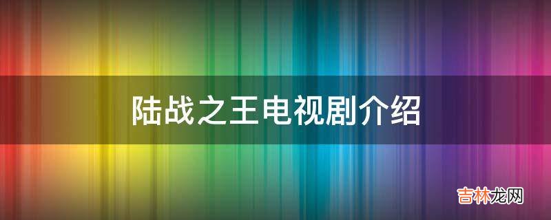 陆战之王电视剧介绍?