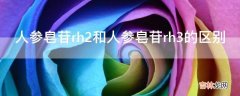 人参皂苷rh2和人参皂苷rh3的区别?