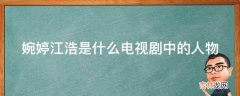 婉婷江浩是什么电视剧中的人物?