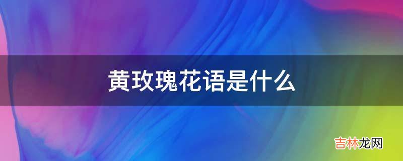 黄玫瑰花语是什么?