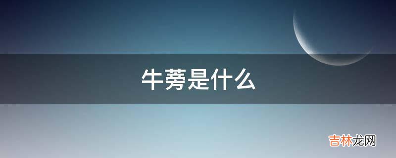 牛蒡是什么?