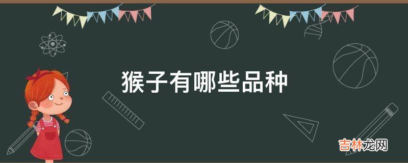 猴子有哪些品种?