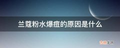 兰蔻粉水爆痘的原因是什么?