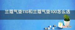 兰蔻气垫110和兰蔻气垫100怎么选?