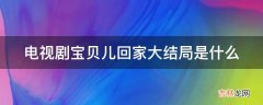 电视剧宝贝儿回家大结局是什么?