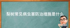 梨树常见病虫害防治措施是什么?