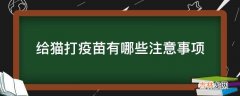 给猫打疫苗有哪些注意事项?