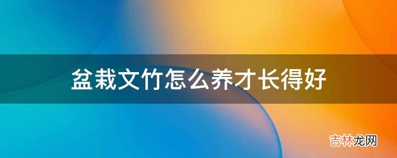 盆栽文竹怎么养才长得好?