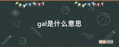 gal是什么意思?