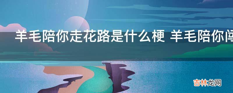 羊毛陪你走花路是什么梗?
