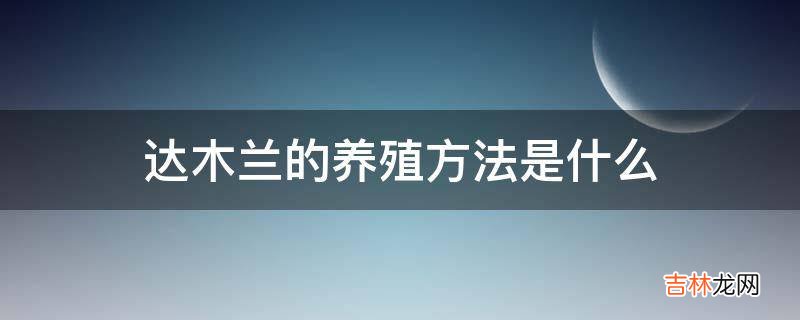 达木兰的养殖方法是什么?