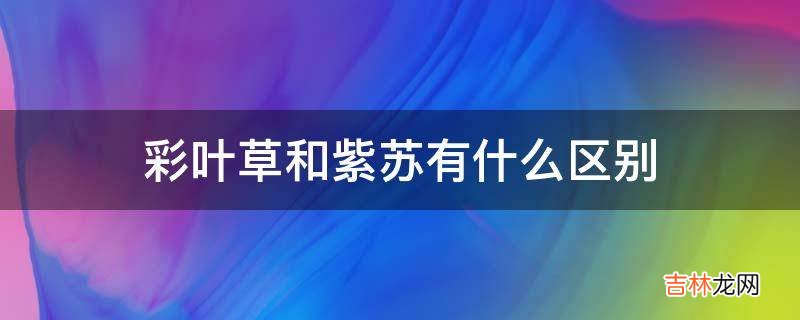 彩叶草和紫苏有什么区别?