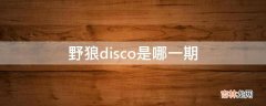 野狼disco是哪一期?