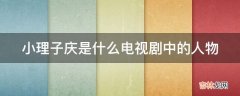 小理子庆是什么电视剧中的人物?