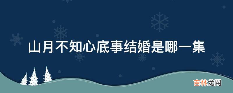 山月不知心底事结婚是哪一集?