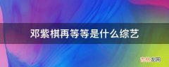 邓紫棋再等等是什么综艺?