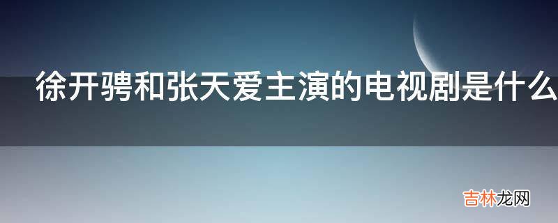 徐开骋和张天爱主演的电视剧是什么?