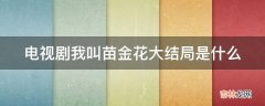 电视剧我叫苗金花大结局是什么?