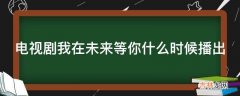 电视剧我在未来等你什么时候播出?